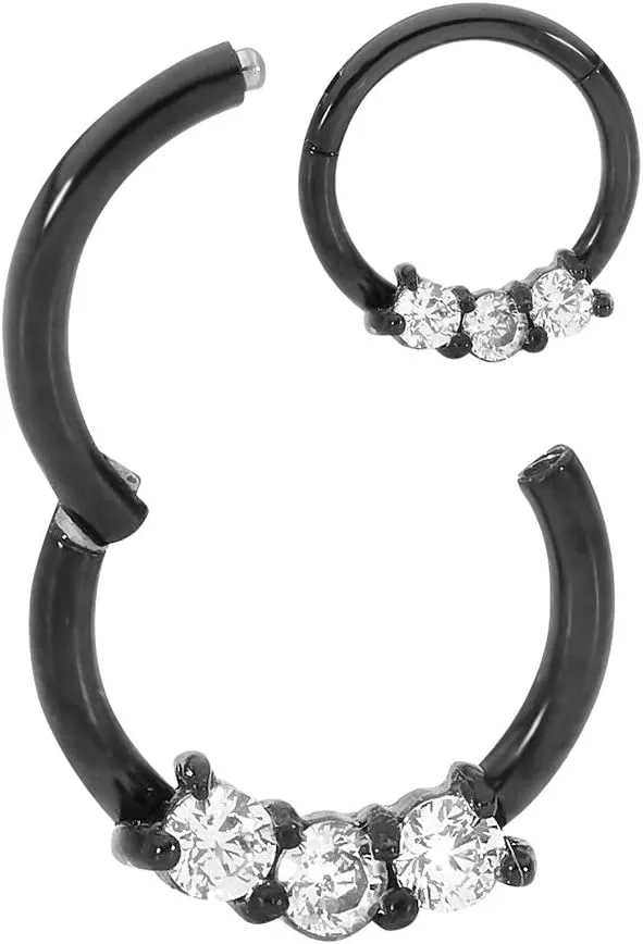 365 Sleepers 316L Surgical Steel Hypoallergenic 16G Gem Septum Jewelry Hinged Segment Ring Body Piercing Hoop Lip Rings Helix Cartilage Rook Sleeper Earrings 8mm  10mm