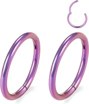 GAGABODY 2 Pcs Nose Rings 20G 18G 16G 14G 12G 10G 8G Surgical Steel Piercing Rings for Nose Septum Cartilage Helix Tragus Conch Rook Daith Lobe from 5mm to 16mm Seamless Hoop Unisex Hinged Earrings