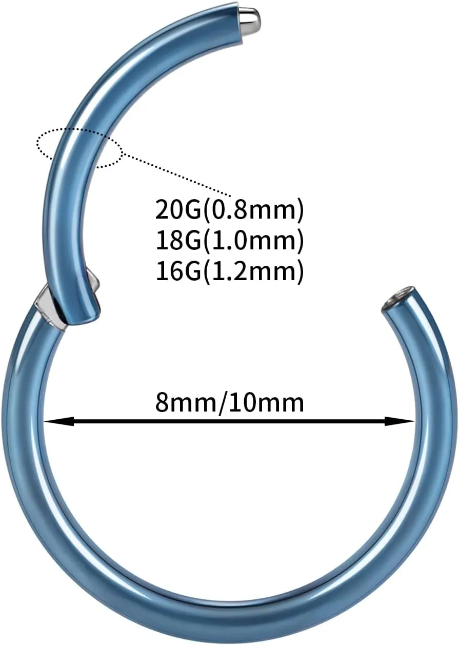 GAGABODY 2 Pcs Nose Rings 20G 18G 16G 14G 12G 10G 8G Surgical Steel Piercing Rings for Nose Septum Cartilage Helix Tragus Conch Rook Daith Lobe from 5mm to 16mm Seamless Hoop Unisex Hinged Earrings