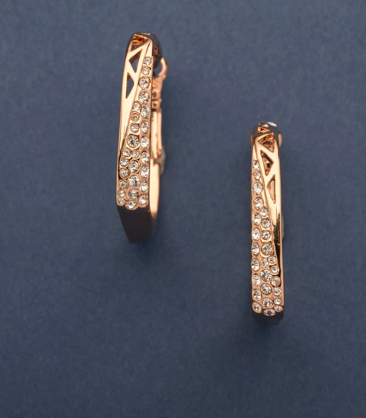 Hand-Finished Brass Plates Of The Shiny Stones Earrings (Brass)