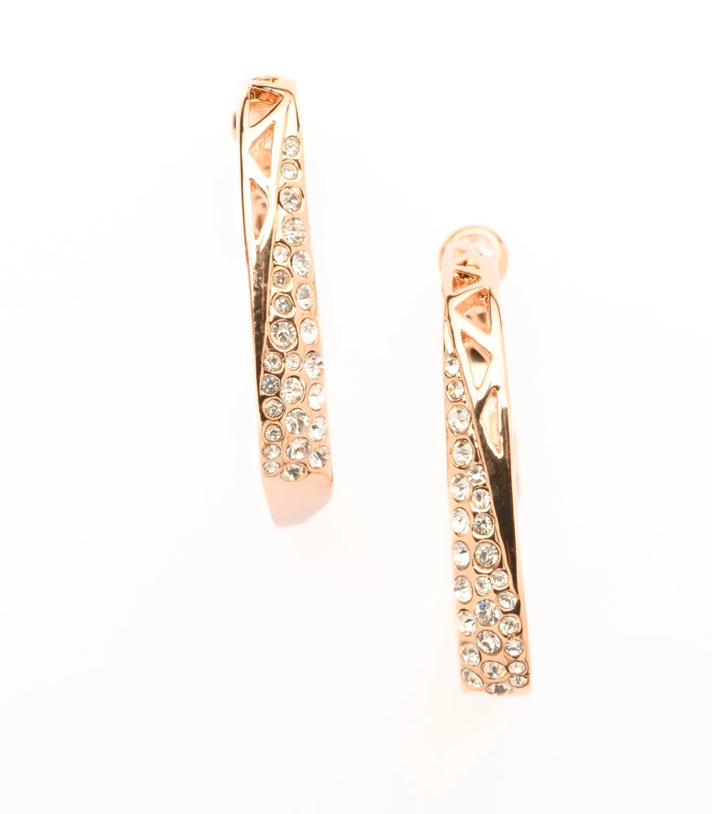 Hand-Finished Brass Plates Of The Shiny Stones Earrings (Brass)