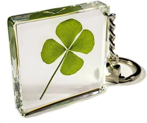 HQRP-Crystal 48mm Real Four Leaf Clover Shamrock in Rectangular Keychain Lucky Leaf Inside Clear Lucite Resin St.Patrick's Day Gift Decoration Botany Key Ring Chain Display Specimen