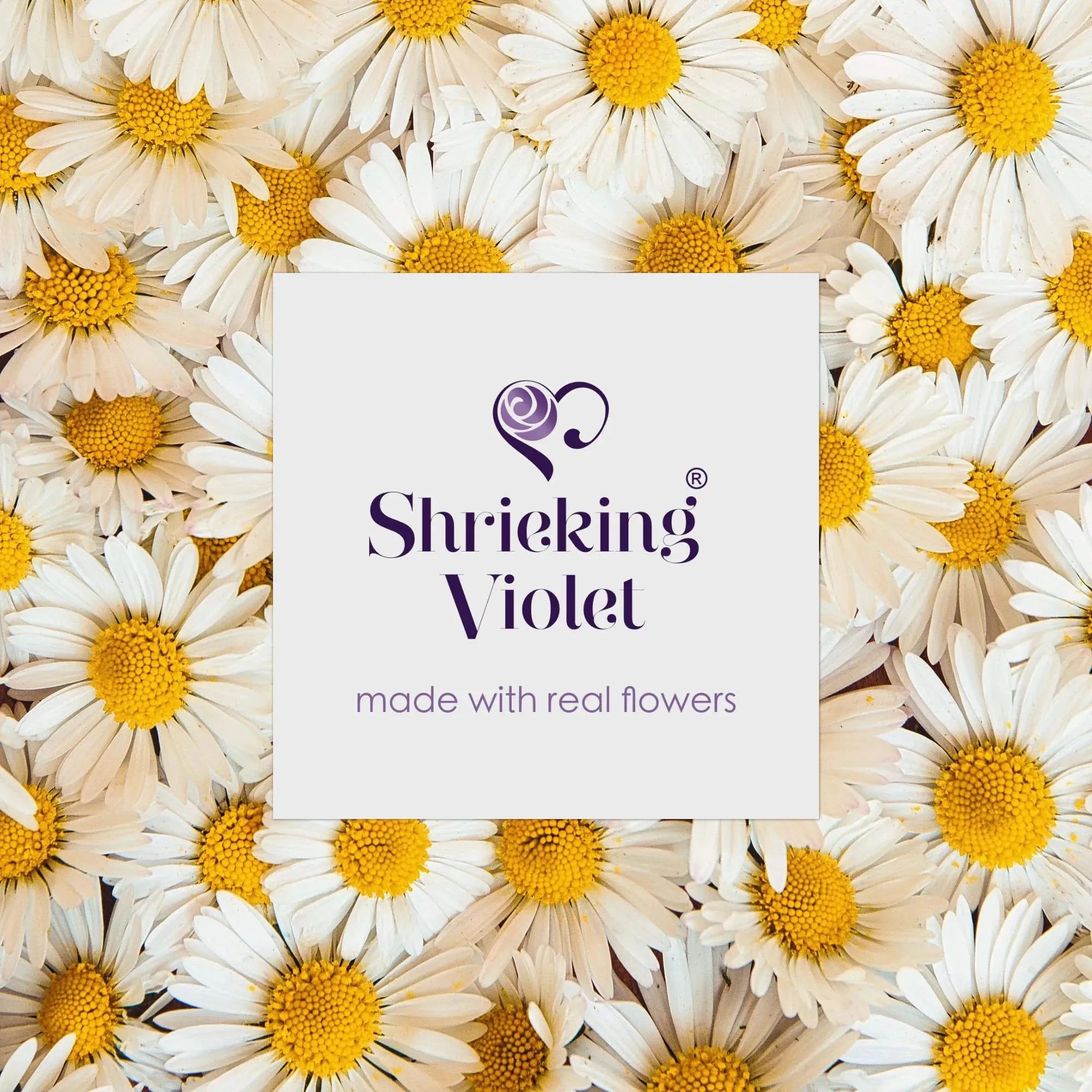 Sterling silver snake bracelet - Round charm - Daisy